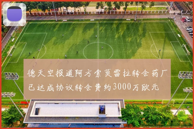 德天空报道阿方索莫雷拉转会药厂已达成协议转会费约3000万欧元